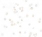 CXCL12 Antibody
